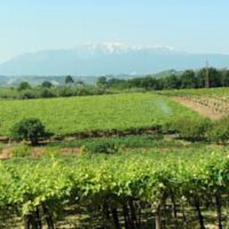 Castello D'Abruzzo Hotell Ripa Teatina Eksteriør bilde